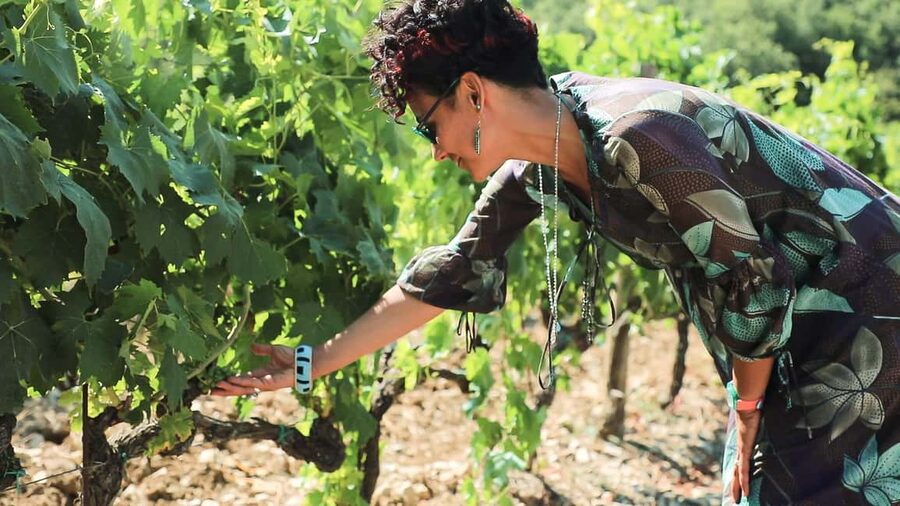 From Florence: Chianti Wine Tour with Tastings - The Florence meeting point and the ride south