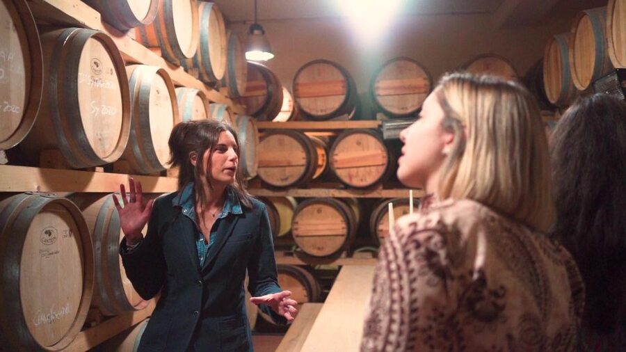 From Florence: Chianti Wine Tour with Tastings - Guides, group energy, and the role of the bus