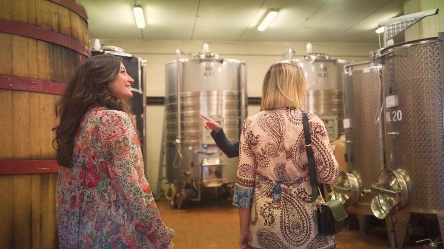 From Florence: Chianti Wine Tour with Tastings - Who should book this experience?