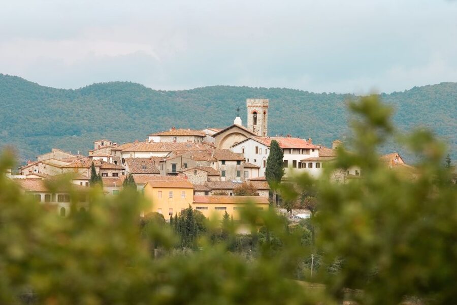 From Florence: Private Chianti Hills Tour with Tasting - Radda in Chianti, a short walk with real character