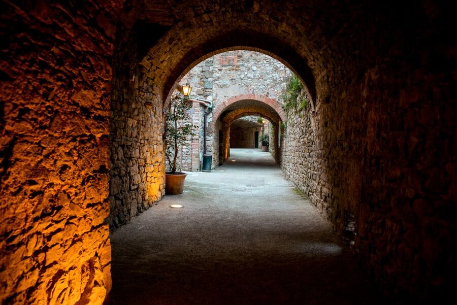 From Florence: Private Chianti Hills Tour with Tasting - The second winery and the wine-making story