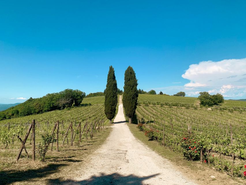 From Florence: Private Chianti Hills Tour with Tasting - Price, timing, and practical details