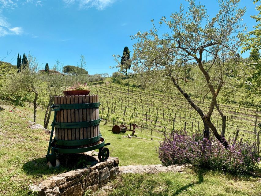 From Florence: Private Chianti Hills Tour with Tasting - Who will enjoy this tour most