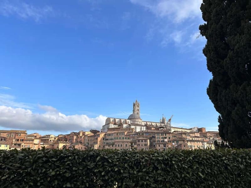 From Florence: San Gimignano, Siena, and Chianti Wine Tour - Quick points before you book