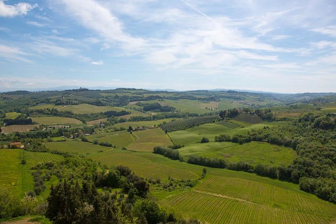 From Florence: Small-Group Tuscany Wine & Oil Tour with typical Tuscan Meal - What the $96.86 price covers
