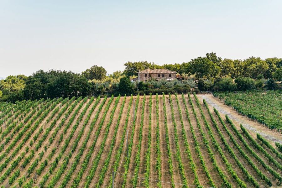 From Florence: Small Group Wine Tasting Tour to Tuscany - FAQ