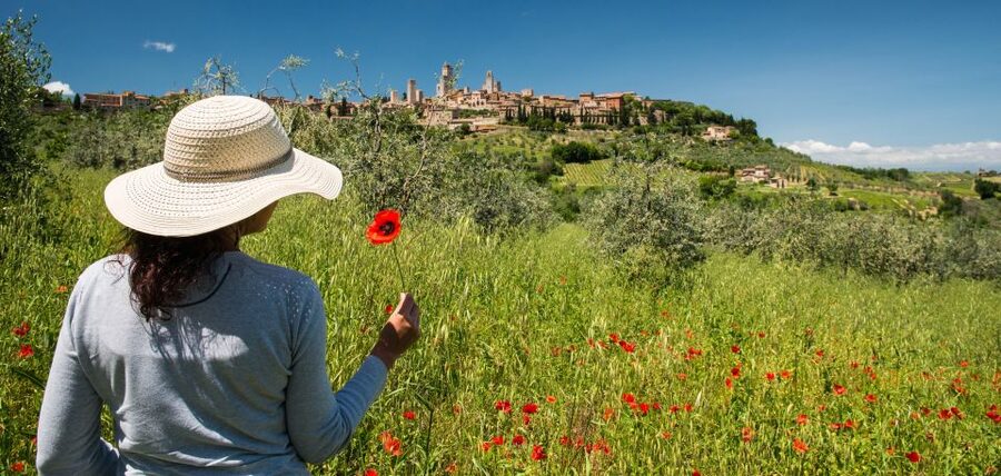 From Florence: Tuscany Highlights Full-Day Tour - A big Tuscan day from Stazione Montelungo