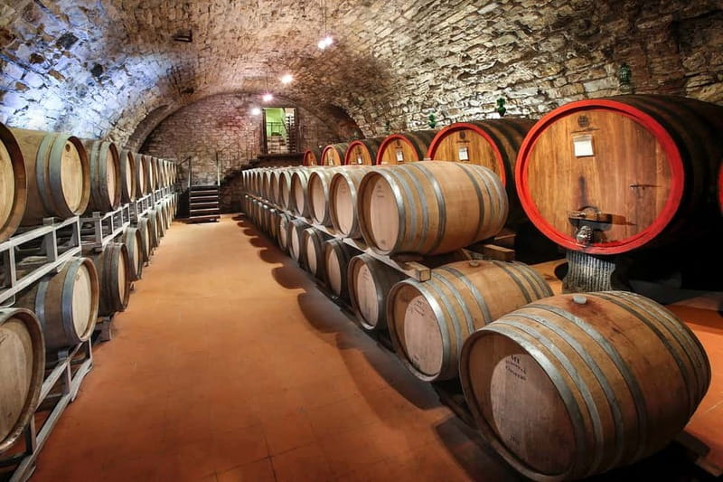 From Florence: Tuscany Wine & Food Tour with Guide - First winery: farm, cellar, and the basics of Chianti wine