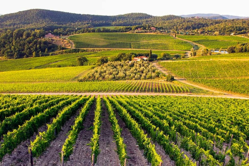 From Florence: Tuscany Wine & Food Tour with Guide - What the food and wine are really like