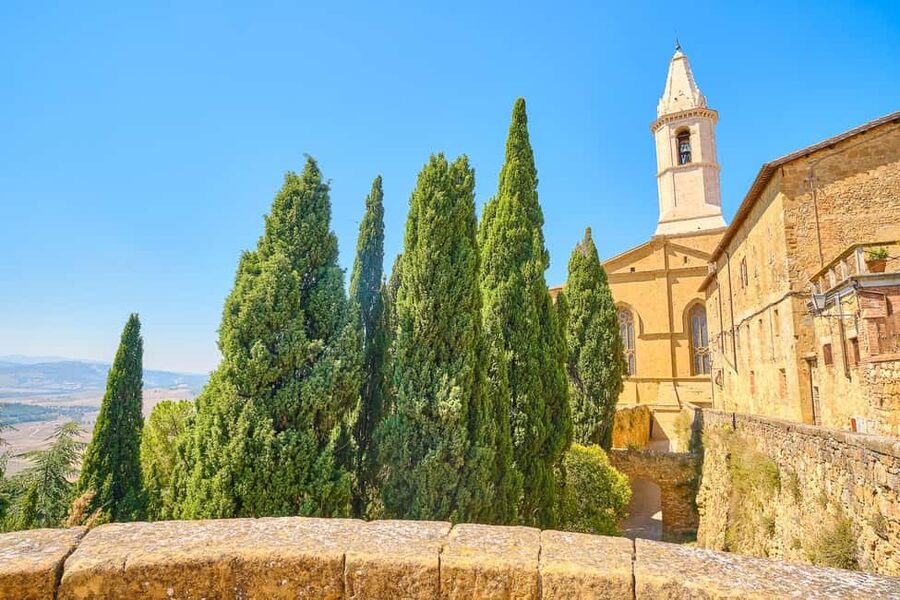 From Florence: Val D'Orcia Tour with Wine Tasting - Pienza, Pecorino, and the best walking stop