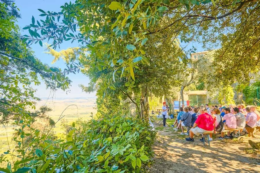 From Florence: Val D'Orcia Tour with Wine Tasting - How much free time will you really have?