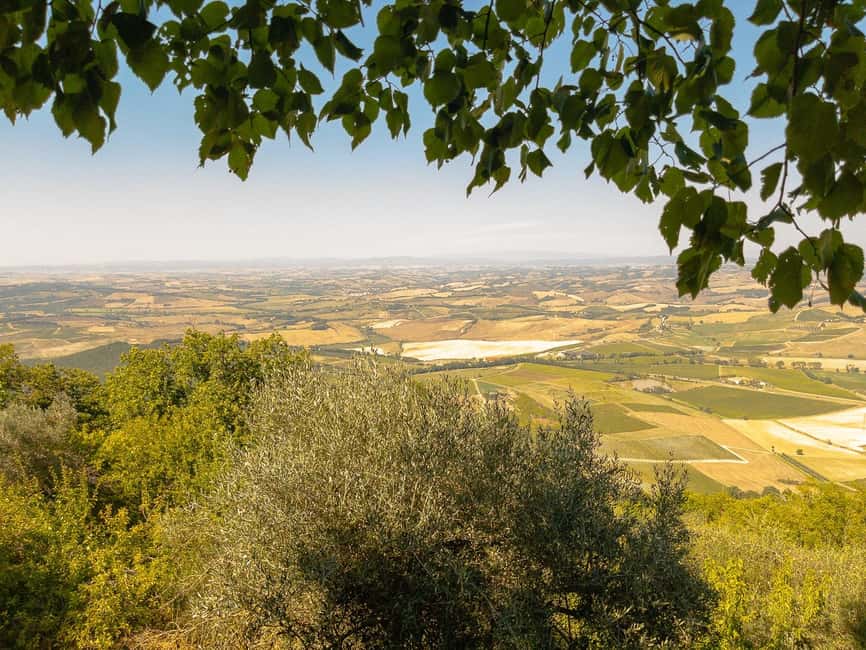 From Florence: Val D'Orcia Tour with Wine Tasting - The coach, pace, and practical comfort