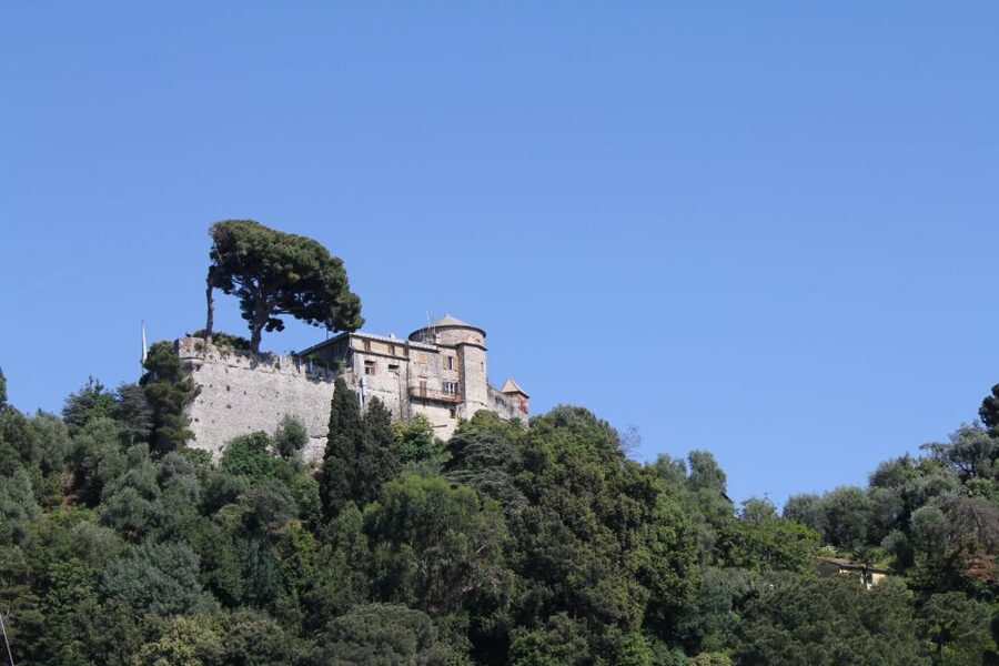 From Genoa: Boat Tour to Portofino with Free Time to Explore - Castello Brown and the limits of the schedule