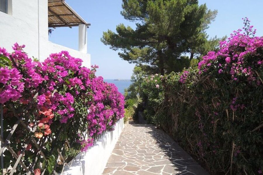 From Lipari: Panarea and Stromboli Cruise with Stops - Is $79 good value?