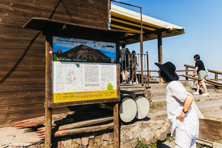 From Naples: All-Inclusive Mount Vesuvius Half-Day Tour - Walking around the crater