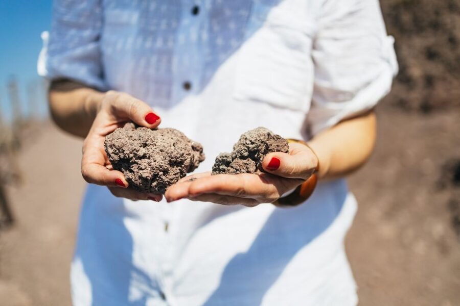 From Naples: All-Inclusive Mount Vesuvius Half-Day Tour - What $75 includes, and what it does not