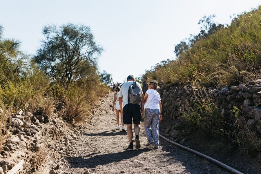 From Naples: All-Inclusive Mount Vesuvius Half-Day Tour - Timing, ticket checks, and possible snags
