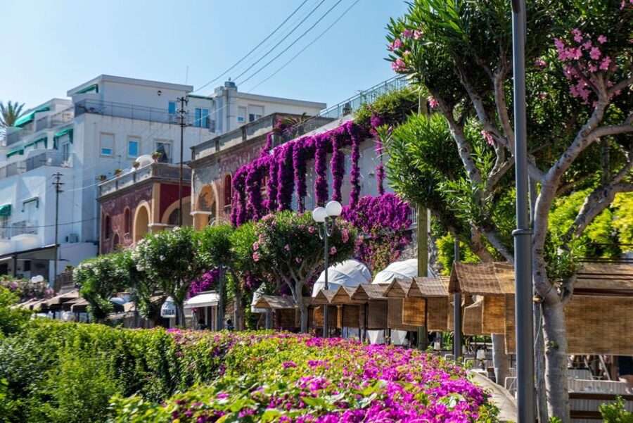 From Naples: Capri, Anacapri, and Blue Grotto Full-Day Trip - What the guides add to the day