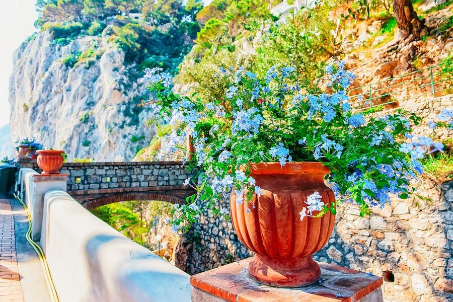 From Naples: Capri and Blue Grotto Day Tour - Mamma Mia Road and the climb to Anacapri