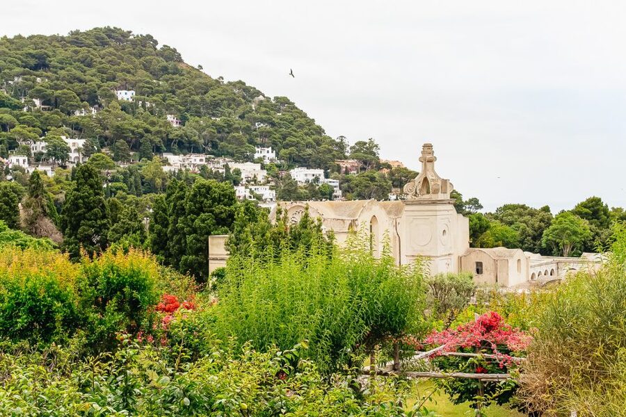 From Naples: Capri and Blue Grotto Day Tour - Free time in Capri town and La Piazzetta