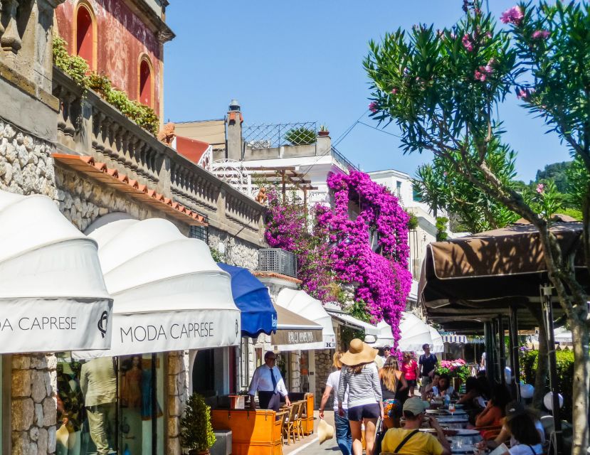 From Naples: Capri Guided Tour with Ferry Tickets & Minibus - Who should book this tour