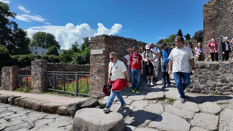 From Naples: Guided tour of Pompeii skip-the-line and round-trip train - Starting at Napoli Centrale