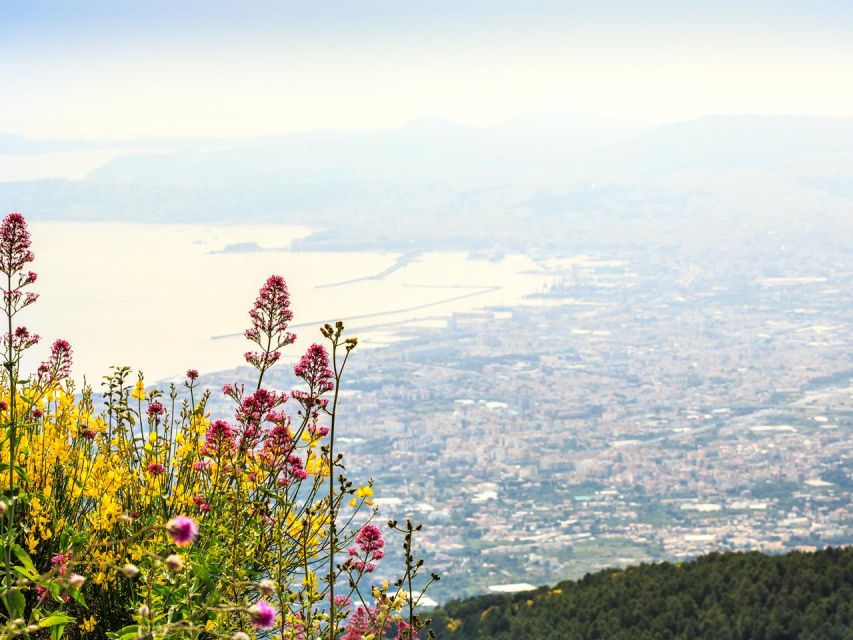 From Naples: Mount Vesuvius Transfer with Entry Tickets - How much time do you really get?