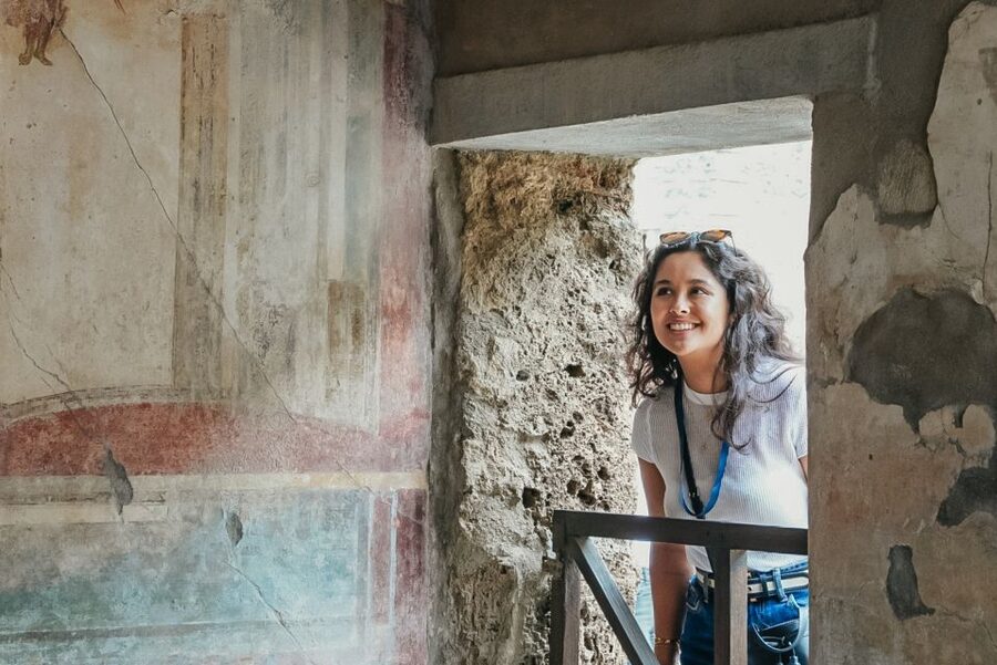 From Naples or Sorrento: Pompei Half-Day Tour - Leaving Naples or Sorrento by van