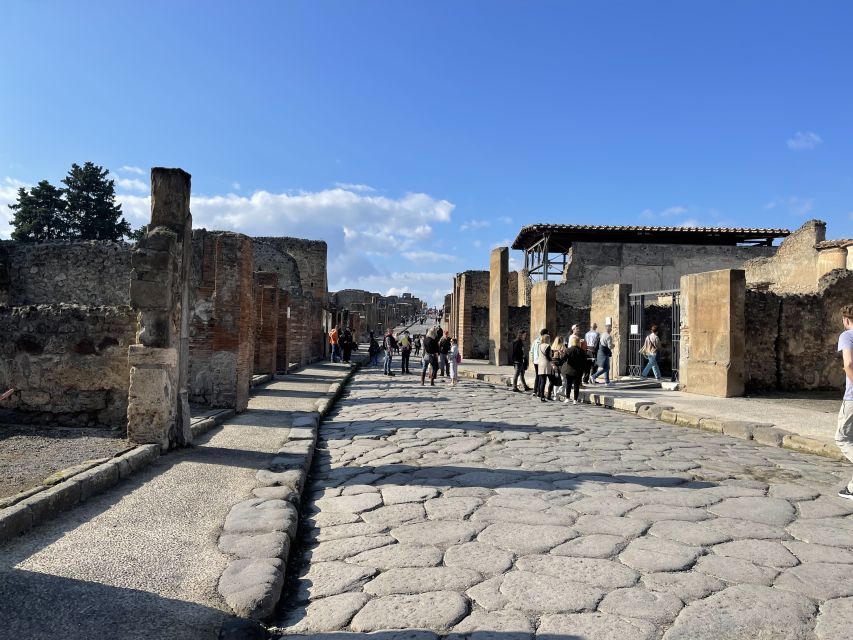 From Naples: Pompeii Guided Tour with Skip-the-Line Tickets - Entering Pompeii through the separate entrance
