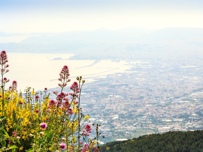 From Naples: Pompeii, Herculaneum, & Vesuvius Full-Day Tour - Practical tips for a smoother day
