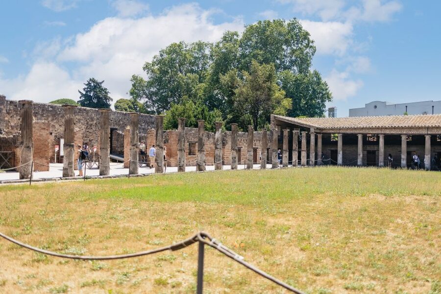 From Naples: Pompeii Ruins & Mount Vesuvius Day Tour - Final call: a strong first look at Campania