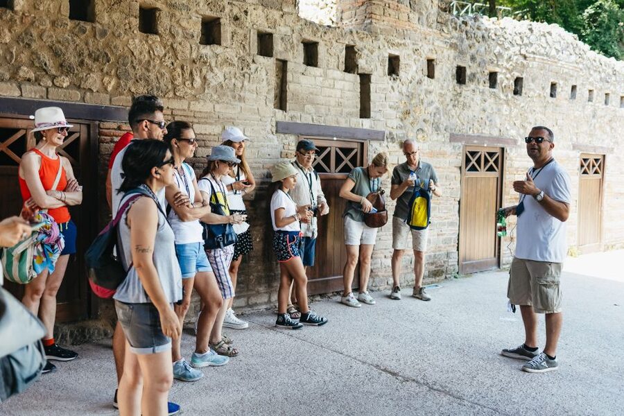 From Naples: Pompeii Ruins & Mount Vesuvius Day Tour - Why this Pompeii and Vesuvius pairing works