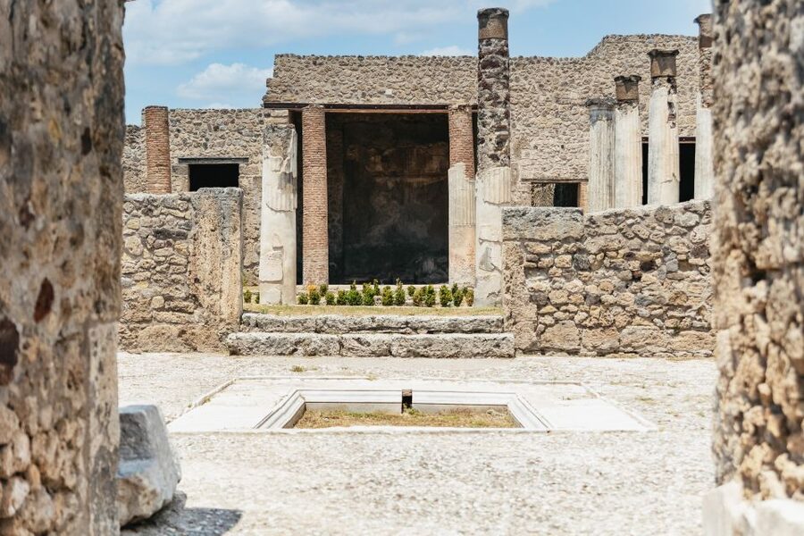 From Naples: Pompeii Ruins & Mount Vesuvius Day Tour - The road to Mount Vesuvius