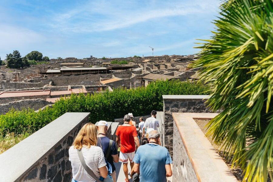 From Naples: Pompeii Ruins & Mount Vesuvius Day Tour - Who should book this day tour?