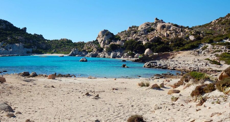 From Palau: La Maddalena Archipelago Boat Tour with Pasta - Key points to know before you book