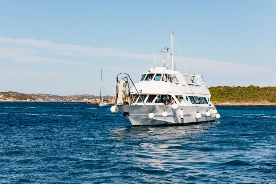 From Palau: La Maddalena Islands Full-Day Trip by Boat - Budelli, Spiaggia Rosa, and Porto della Madonna