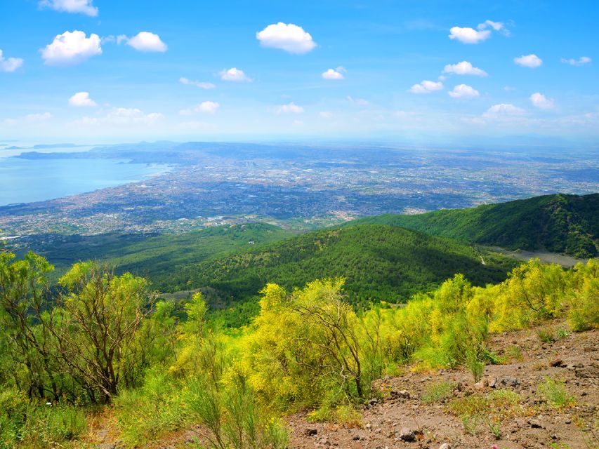 From Pompeii: Bus Transfer to Vesuvius with Park Entry Fee - The 40-minute climb to the volcano