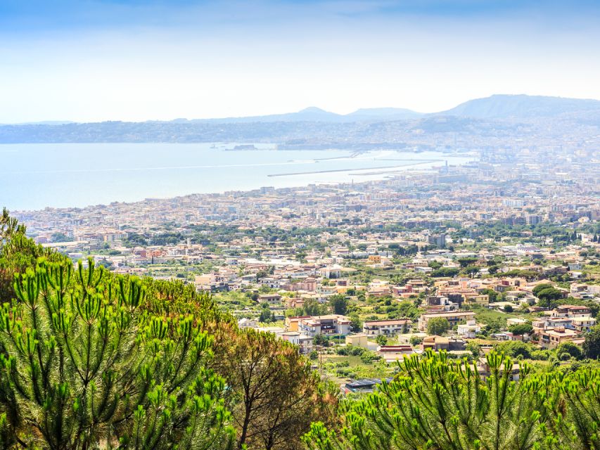 From Pompeii: Bus Transfer to Vesuvius with Park Entry Fee - Is $50.11 a fair price?