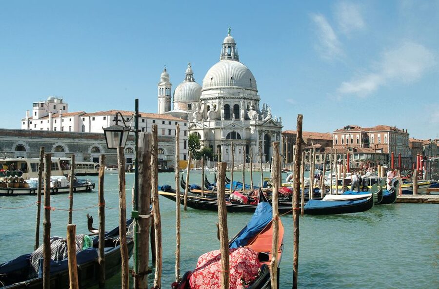 From Porec: Venice Catamaran Crossing One-Way or Round-Trip - Luggage, bicycles, and pets