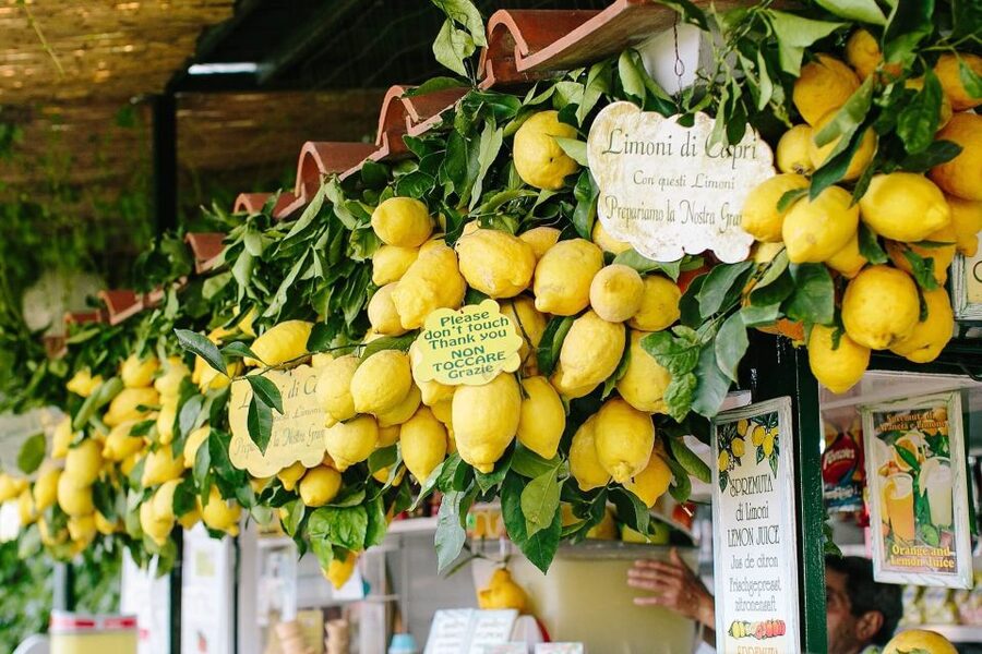 From Positano: Sorrento Coast & Capri Full-Day Trip by Boat - Limoncello on the way back to Sorrento