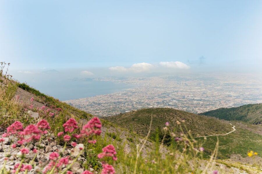 From Rome: Pompeii Day Trip with Optional Vesuvius and Lunch - Mount Vesuvius: crater hike or geologist-led walk