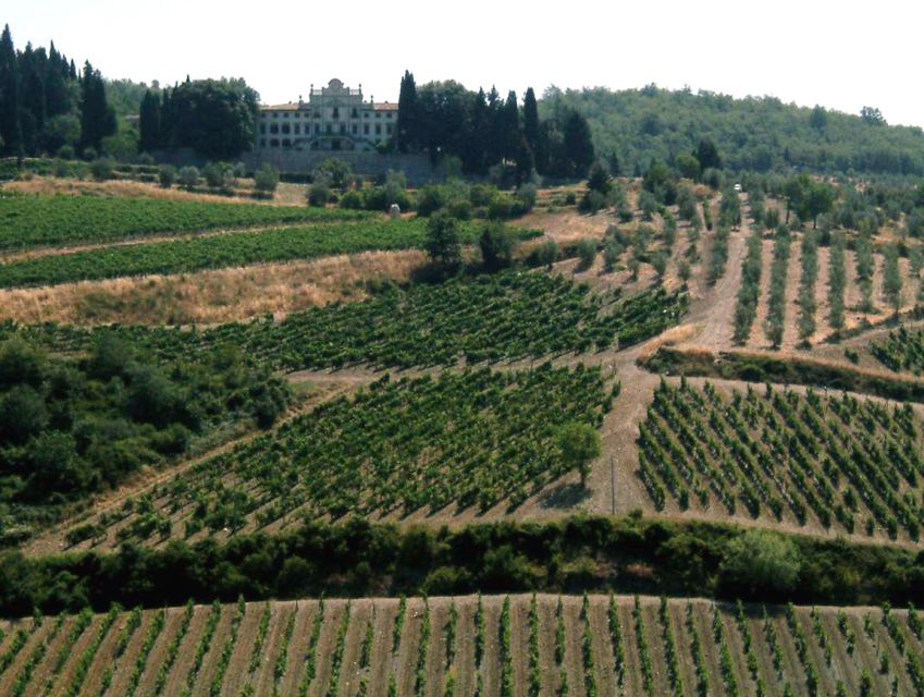 From Siena: Chianti and Castles Tour with Wine Tastings - Key points to know before booking