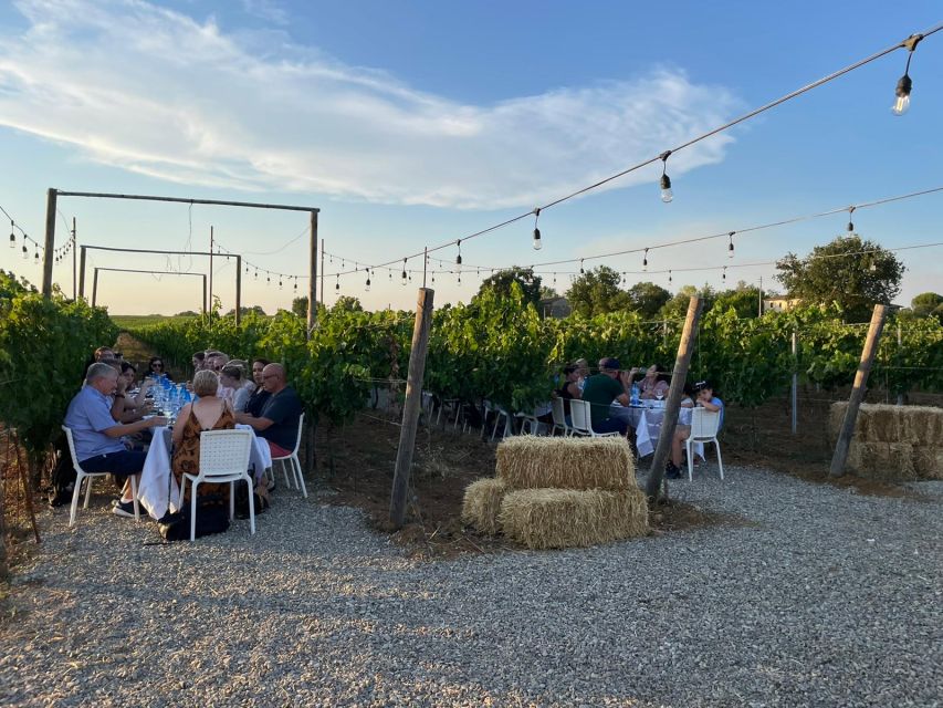 From Siena: Chianti and Castles Tour with Wine Tastings - Why a small van is the right way to see Chianti
