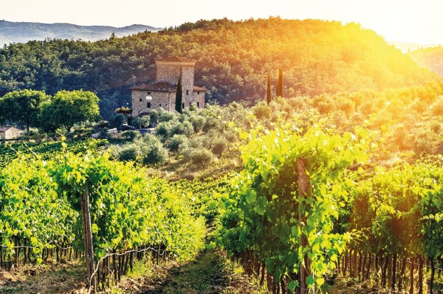 From Siena: Chianti and Castles Tour with Wine Tastings - Lornano, Poggio ai Laghi, and the value of contrast
