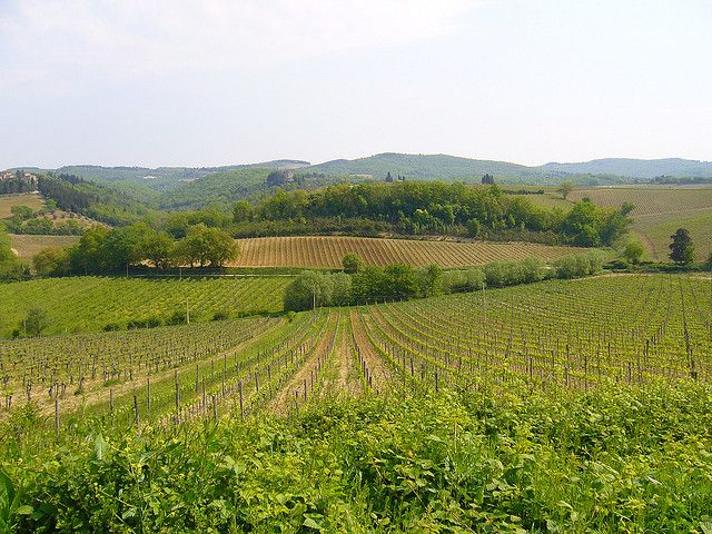 From Siena: Chianti and Castles Tour with Wine Tastings - The scenery between stops is part of the tour