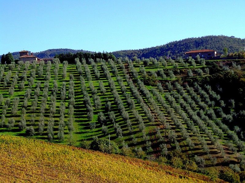 From Siena: Chianti and Castles Tour with Wine Tastings - Is $100 a fair price for five hours?