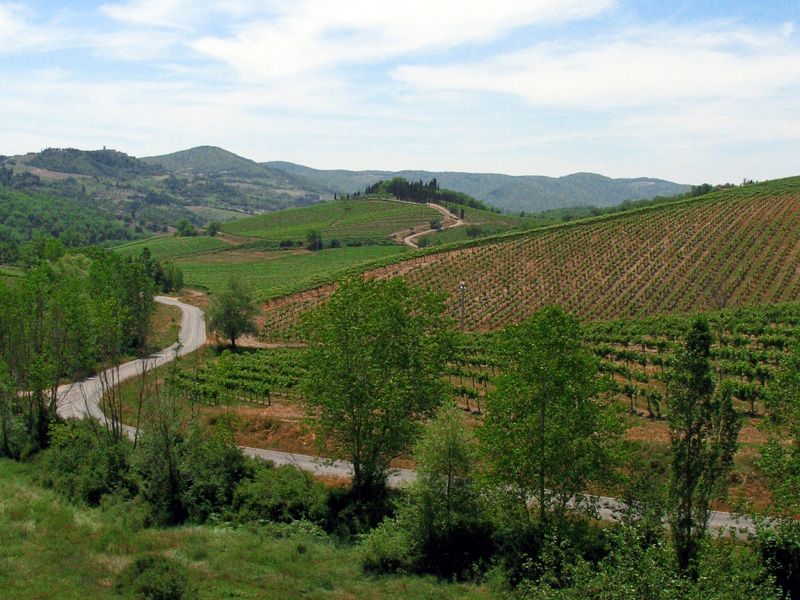 From Siena: Chianti and Castles Tour with Wine Tastings - Who will enjoy this Chianti tour most?