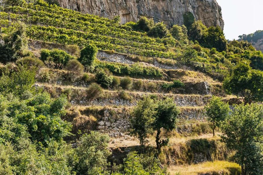 From Sorrento: Path of the Gods Guided Hike with Transfers - The optional continuation toward Positano