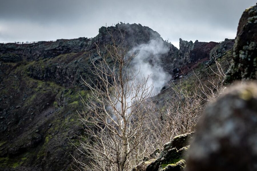 From Sorrento: Pompeii and Vesuvius Guided Tour with Lunch - Who should book this day