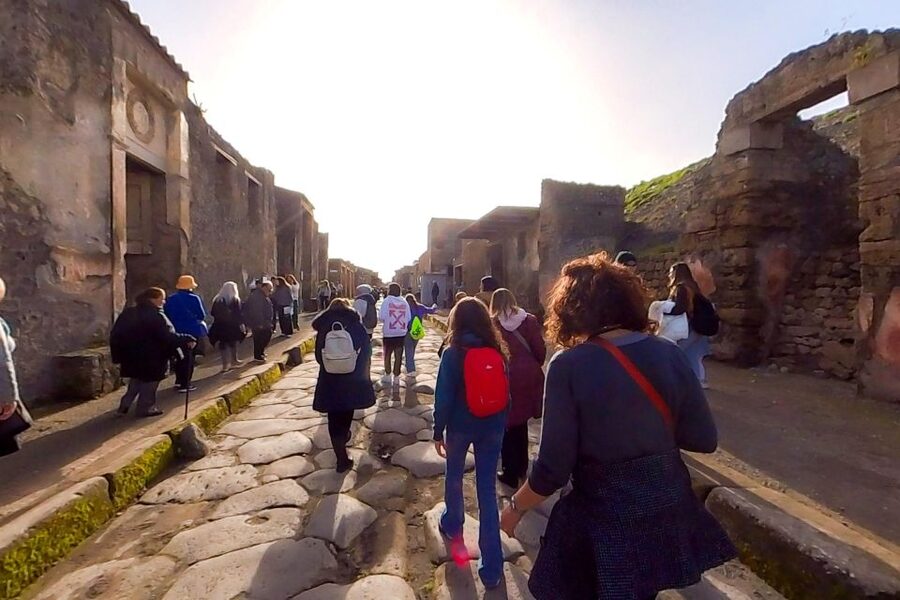 From Sorrento: Pompeii and Vesuvius Guided Tour with Lunch - The guides and drivers shape the experience